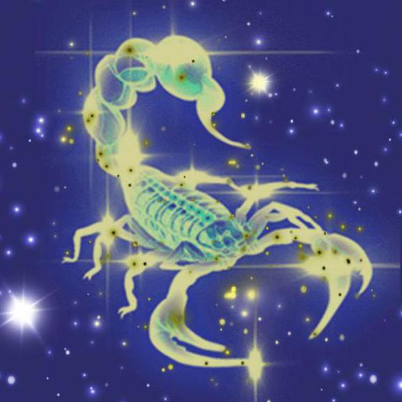 19. november horoskop