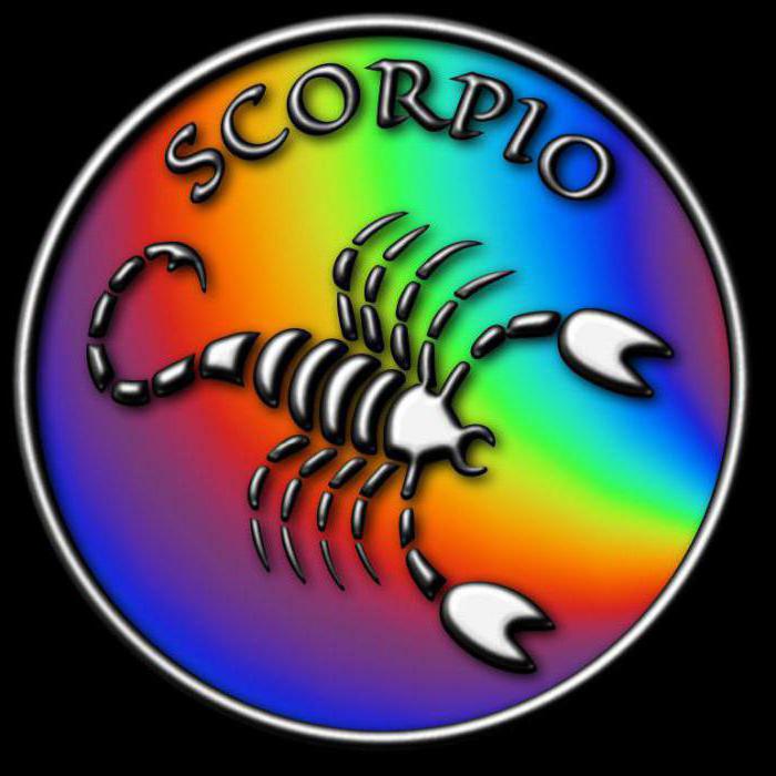 19 scorpione