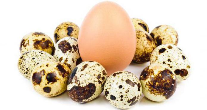 hranilne vrednosti jajc