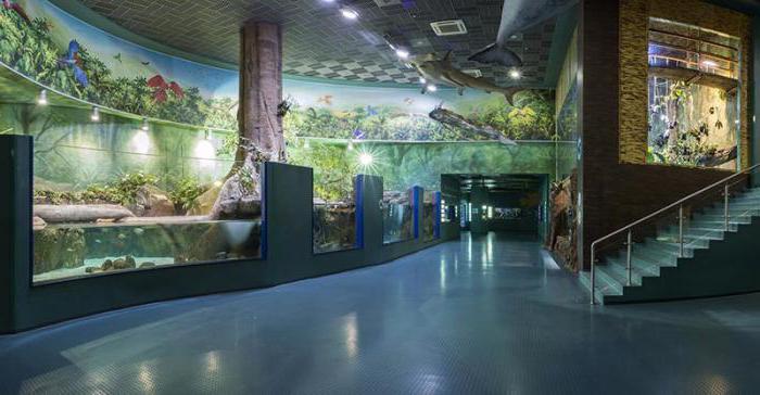 VDNH Aquarium 2017