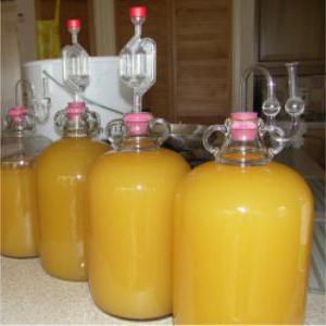 bottiglia di fermentazione con sigillo d'acqua