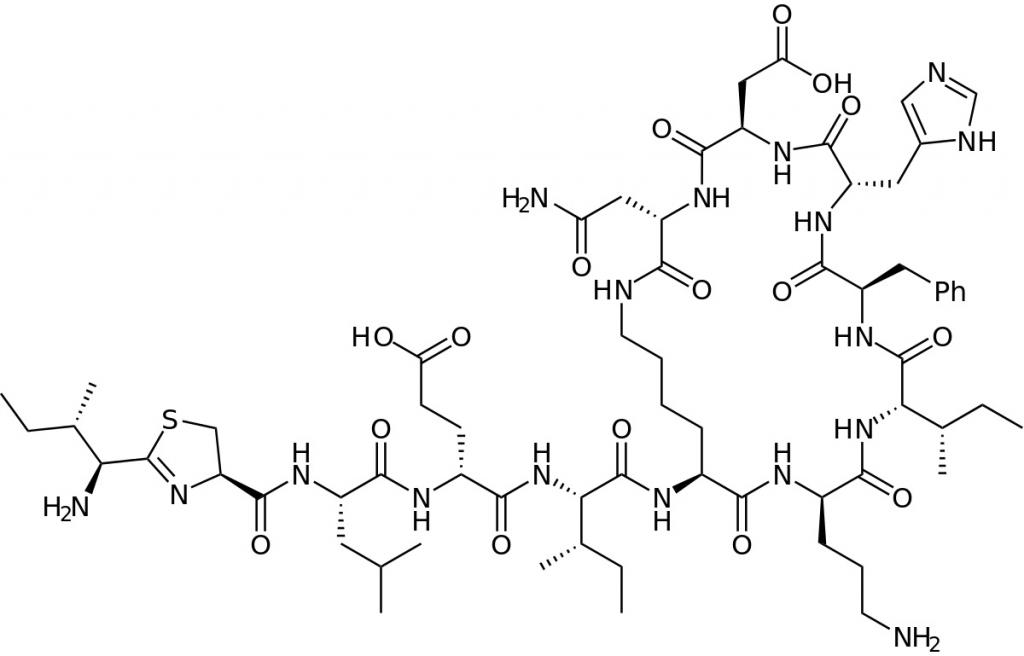 банеоцин оинтмент