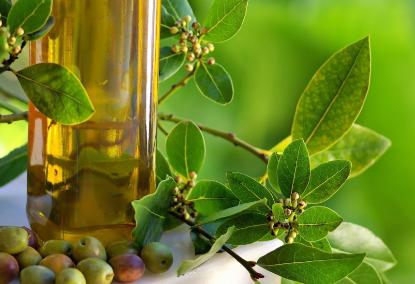 Benefici di olio d'oliva