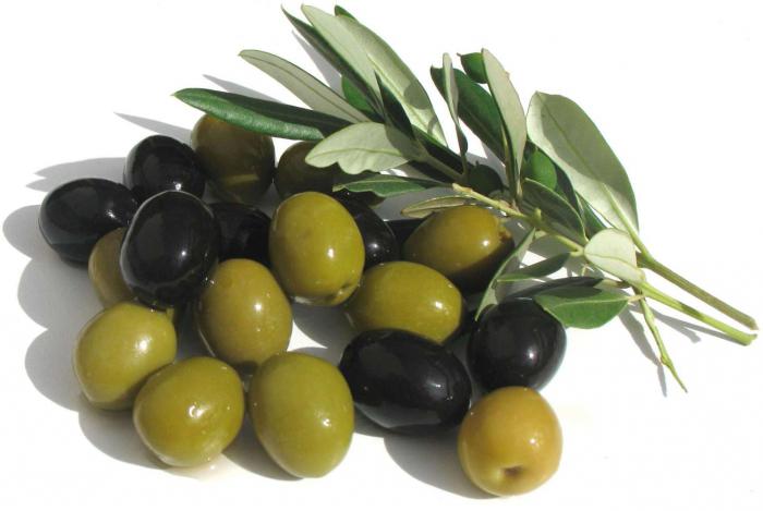 olivy užitečné vlastnosti