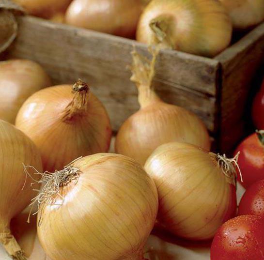 Recensioni sulla descrizione della varietà Onion Hercules