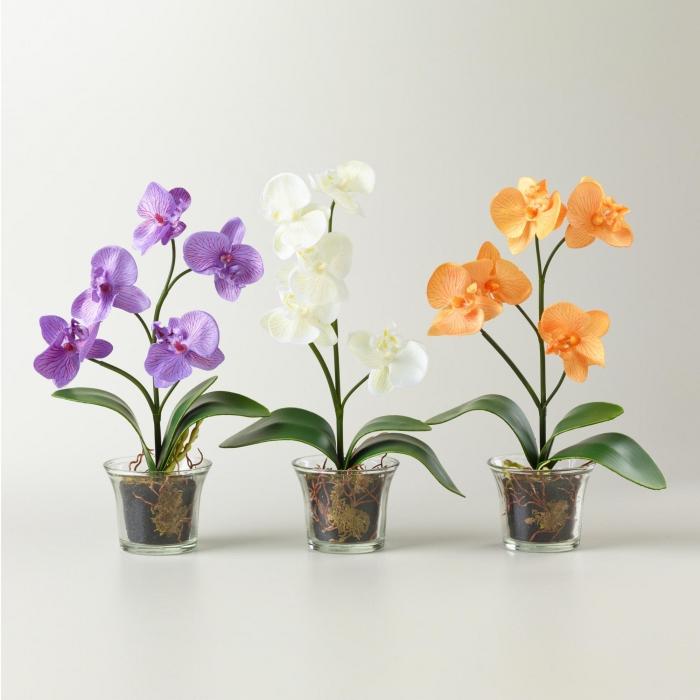 che tipo di vaso orchidea è necessario