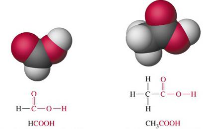 Funkční skupina organických kyselin