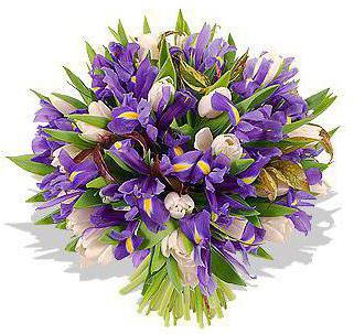 svatební svatební kytice tulipány