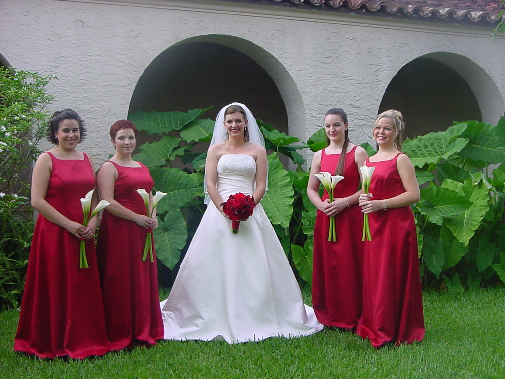 Невеста са девојкама