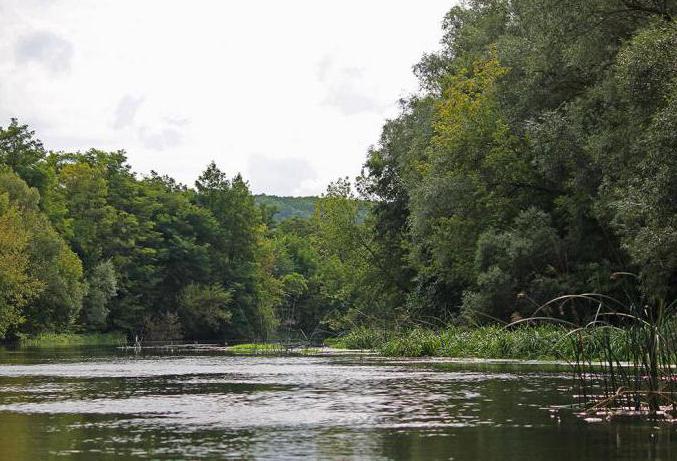 Oskol reka Kharkiv regija