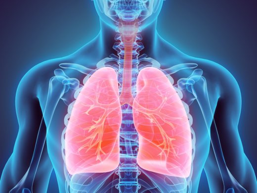 Upala pluća kod djece (pneumonija) – uzroci, vrste, simptomi i liječenje