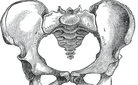 ból kości łonowej podczas ciąży