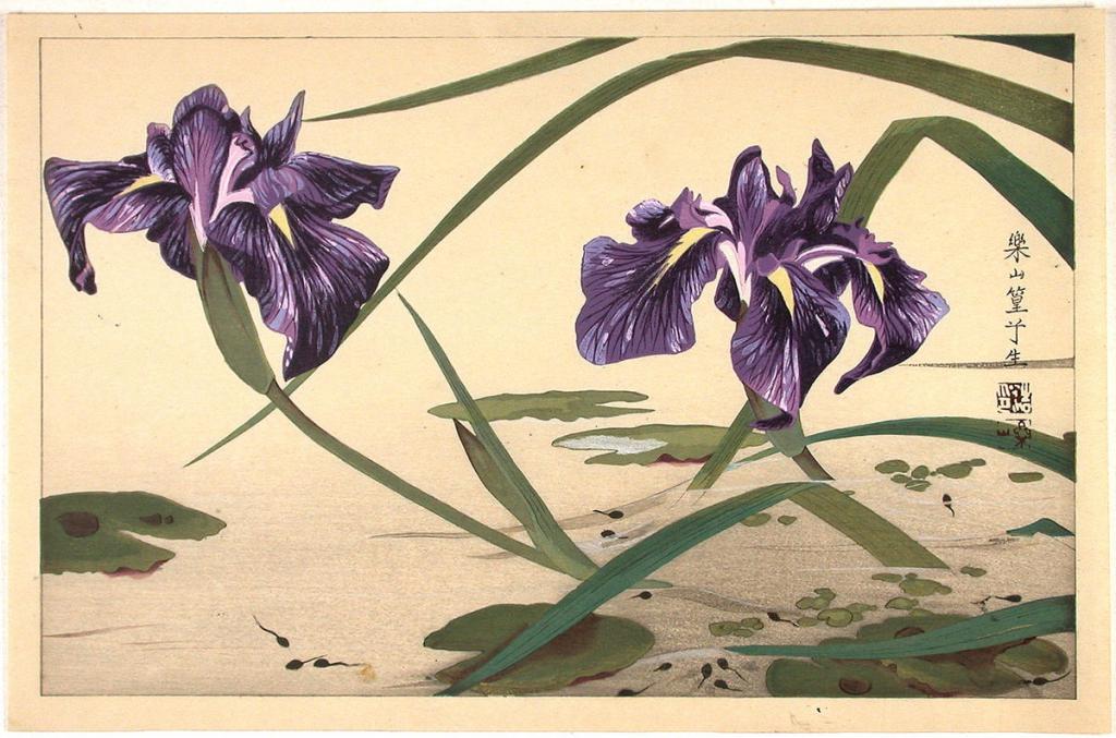 Incisione giapponese con l'immagine di iris
