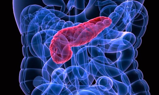 Pankreatična amilaza se poveča v krvnih vzrokih