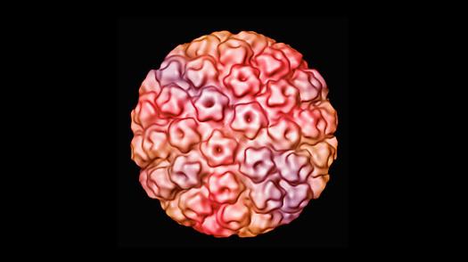 fotografija papiloma virusa