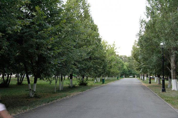 Park, poimenovan po fotografiji Yurija Gagarina Samare