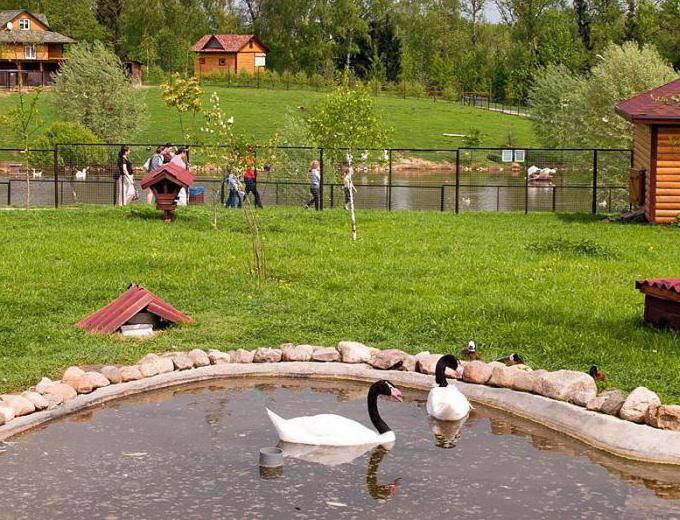 парк на птиците в селото