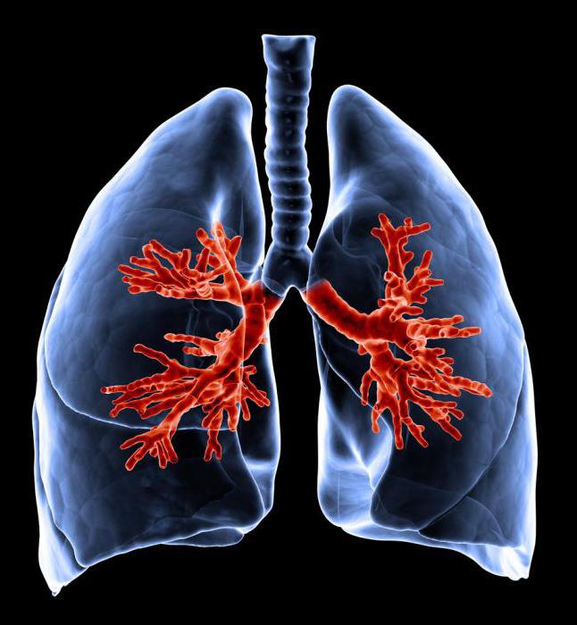 typy abnormálního dýchání u lidí