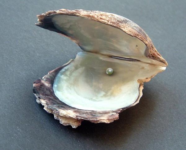 perlové vlastnosti kamenů