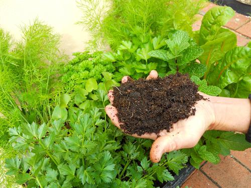 použití rašeliny pro hnojivo