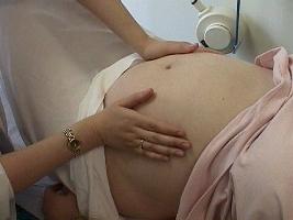 utero e gravidanza