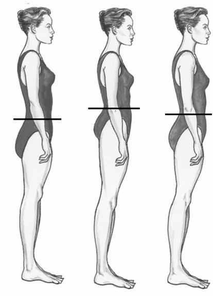 пропорции на тялото