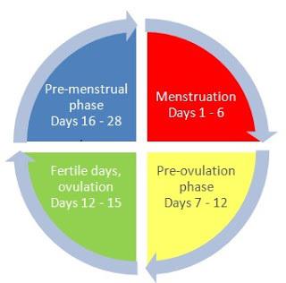 ženy s menstruačním cyklem