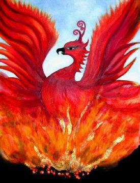 phoenix pták