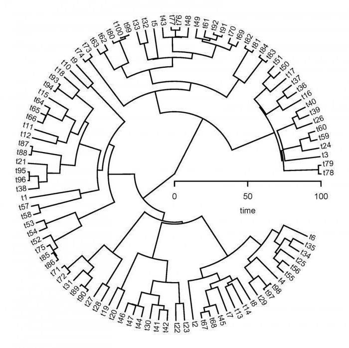 fylogenetické řady