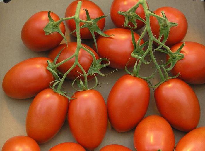 мариновани домати в тиган бързо
