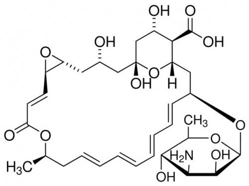 analogi pimafucin