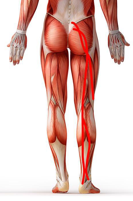 kako zdraviti stisnjen živčev v nogi