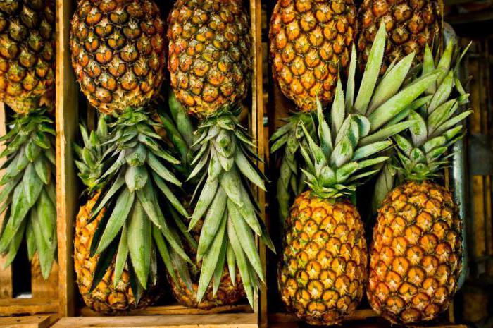 ananas, jak si vybrat
