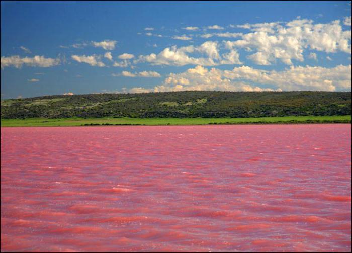 lago rosa in Altai
