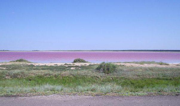 lago rosa nella foto di Altai