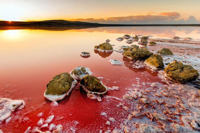 rožnato jezero v Krim, kjer