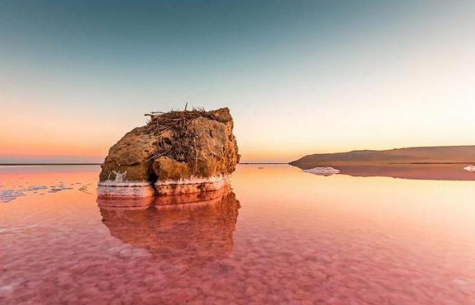 lago rosa in Crimea come arrivarci