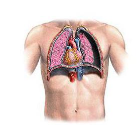 pneumothorax nouze
