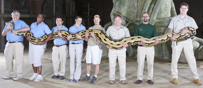 това, което е най-дългата змия в света