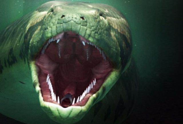 nejdelšího hada na světě