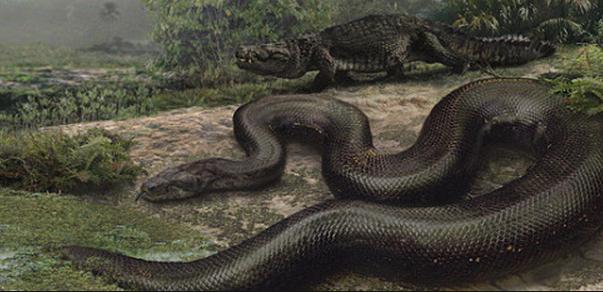 il serpente più lungo del mondo