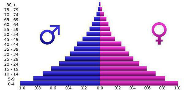 piramide di genere ed età