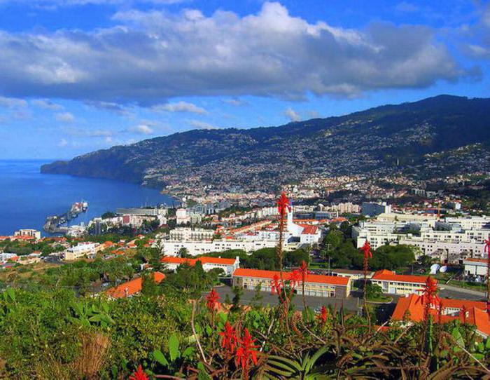 Madeira turistické recenze
