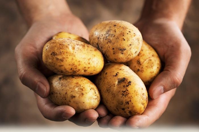 топки от картофи
