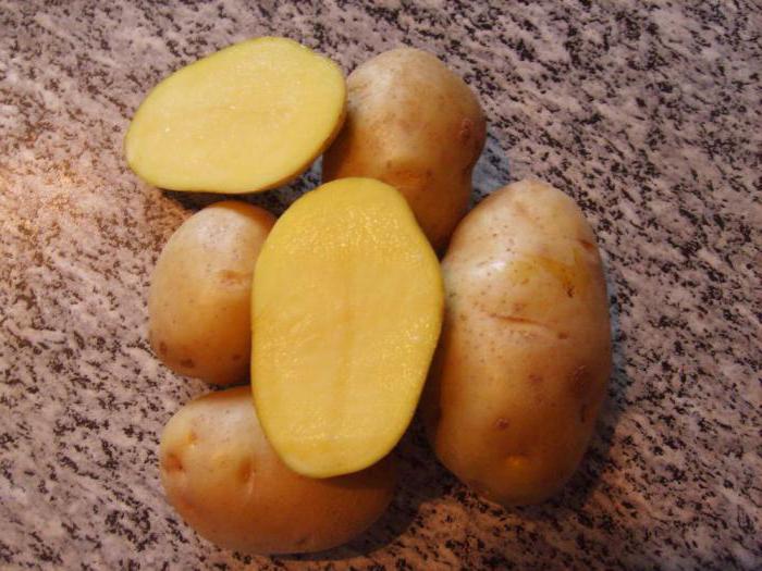 описание на картофи за импала