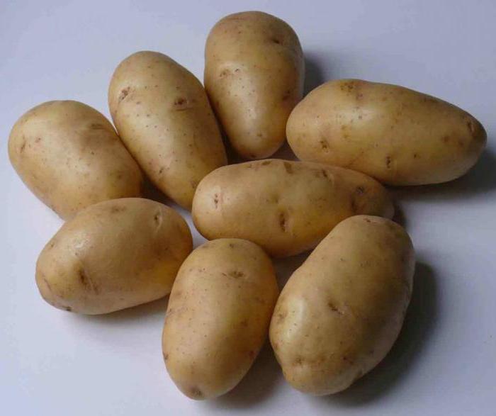 характеристика на импал картофи