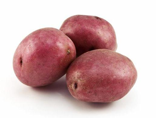 varietà di patate di bellarosa