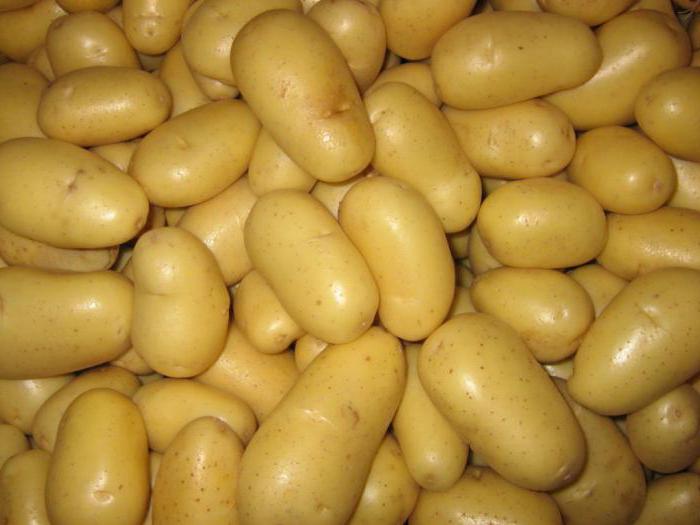 vrsta krumpira