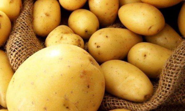 Tuleev картофи