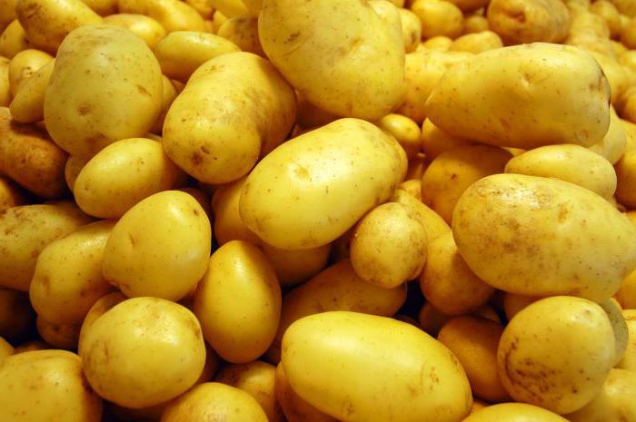 Varietà di patate Veneta caratteristiche recensioni descrizione foto